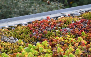 the cost of Mellguards green roof installation