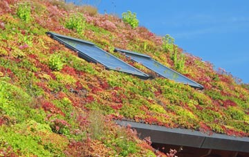 Mellguards living roof systems