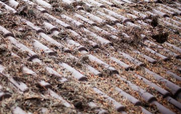 Mellguards roof cleaning companies