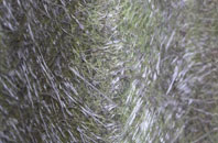 Mellguards fibreglass roof work