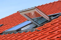 Mellguards roof window
